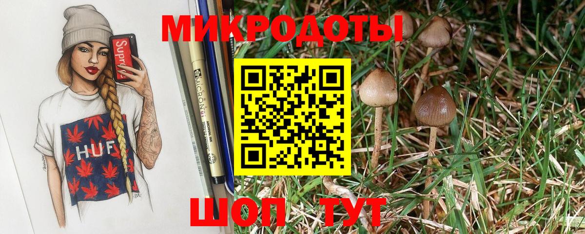 Псилоцибиновые грибы Psilocybine cubensis Белебей
